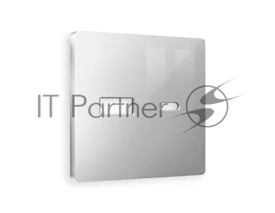 Лицевая панель ALFA (Серебро глянец) для розетки 2USB тип A+C QUANT AP4110