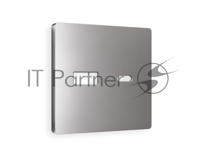 Лицевая панель ALFA (Сталь матовый) для розетки 2USB тип A+C QUANT AP5110