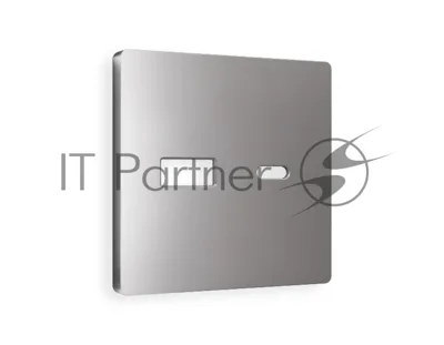 Лицевая панель ALFA (Сталь матовый) для розетки 2USB тип A+C QUANT AP5110