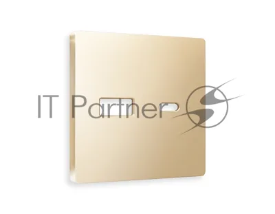 Лицевая панель ALFA (Шампань) для розетки 2USB тип A+C QUANT AP6110