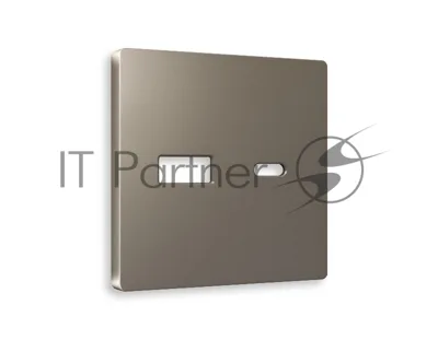 Лицевая панель ALFA (Темная бронза матовый) для розетки 2USB тип A+C QUANT AP6410