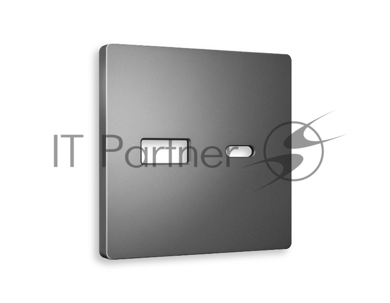 Лицевая панель ALFA (Антрацит серый) для розетки 2USB тип A+C QUANT AP6610