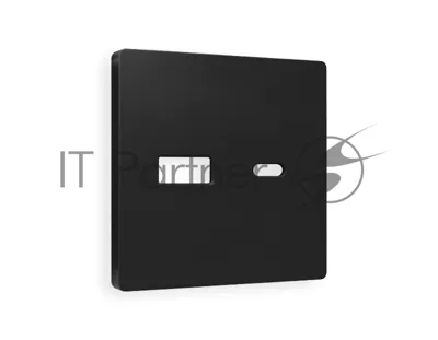 Лицевая панель ALFA (Черный матовый) для розетки 2USB тип A+C QUANT AP8110
