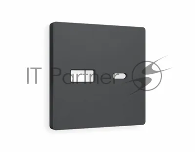 Лицевая панель ALFA (Графит Мягкое касание) для розетки 2USB тип A+C QUANT AP9110