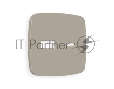 Лицевая панель OMEGA (Серо-бежевый матовый) для розетки 2USB A+C QUANT OP3710