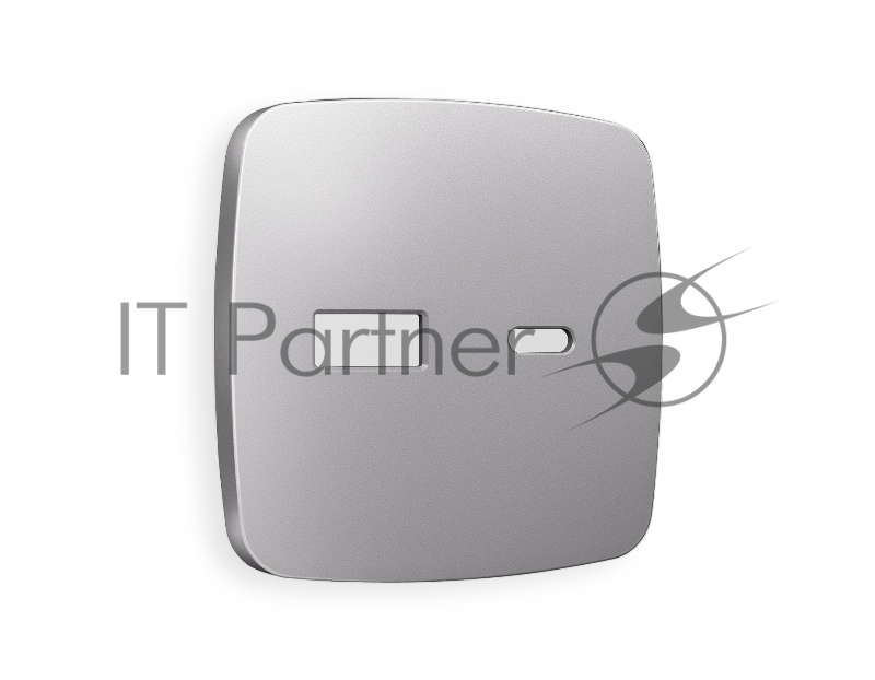 Лицевая панель OMEGA (Сталь матовый) для розетки 2USB тип A+C QUANT OP5110