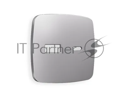 Лицевая панель OMEGA (Сталь матовый) для розетки 2USB тип A+C QUANT OP5110