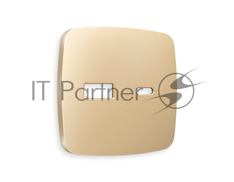 Лицевая панель OMEGA (Шампань) для розетки 2USB тип A+C QUANT OP6110