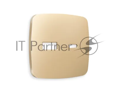 Лицевая панель OMEGA (Шампань) для розетки 2USB тип A+C QUANT OP6110