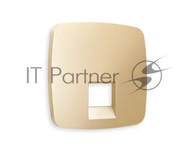 Лицевая панель OMEGA (Шампань) для компьютерной/телефонной розетки RJ-45/RJ-11 QUANT OP6120