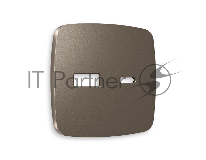 Лицевая панель OMEGA (Темная бронза матовый) для розетки 2USB тип A+C QUANT OP6410