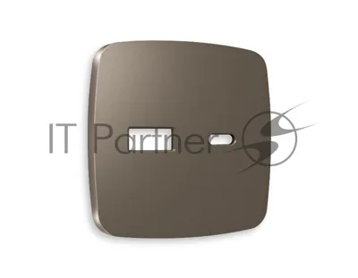Лицевая панель OMEGA (Темная бронза матовый) для розетки 2USB тип A+C QUANT OP6410