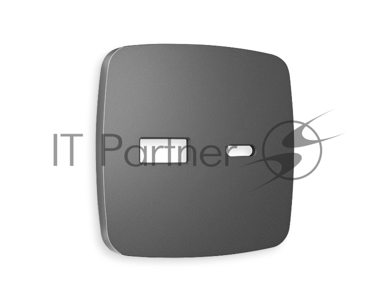 Лицевая панель OMEGA (Антрацит серый) для розетки 2USB тип A+C QUANT OP6610
