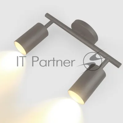 Спот на основании GWL-2GU10-M-IP20 Двойной Графит Направленный Башня