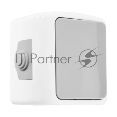 Выключатель 1-кл. открытой установки IP54 10А, бело-серый "Сигма" General