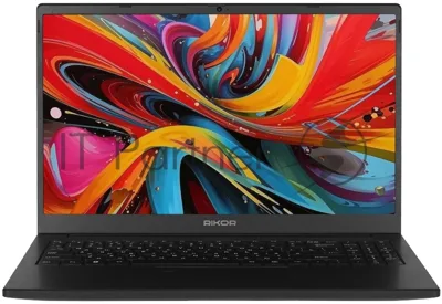 Ноутбук 15.6" IPS FHD RIKOR NINO 201.1 черный (AMD Ryzen 5 5500U/16Gb/256Gb SSD/VGA int/W11Pro/RJ45) (D6EC3CC9)