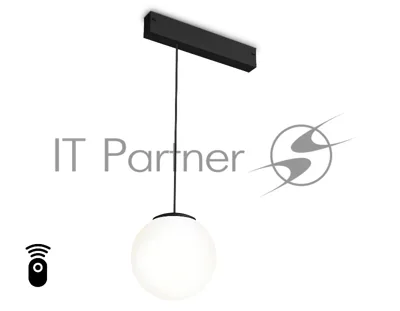 Управляемый светодиодный светильник для шинопровода Magnetic Ambrella light GL1442 BK/FR черный/белый матовый IP20 10W 3000K-6400K 220V 120° D120 H1500 (Без ПДУ)