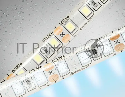 Светодиодная лента Ambrella light GS1203 2835 120Led/ 9.6W m/ 12V IP65 6500K/ 5000*8*2.27mm (2 конт.)