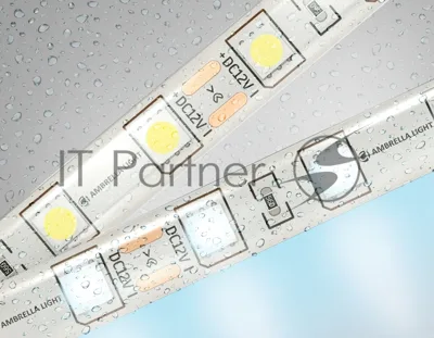 Светодиодная лента Ambrella light GS2103 5050 60Led/ 14.4W m/ 12V IP65 6500K/ 5000*10*2.87mm (2 конт.)
