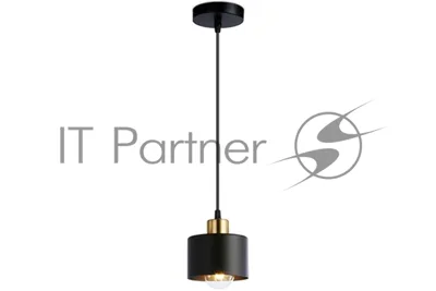 Светильник Ambrella light TR8113 BK/BS черный/латунь E27 max 40W D120*940