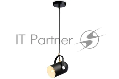 Светильник Ambrella light TR8206 BK черный E27 max 40W D117*1035