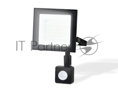 Прожектор светодиодный с датчиком движения Ambrella light ST8113 BK черный IP65 LED 6500K 30W 134*116*26