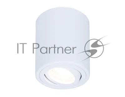 Светильник Ambrella light TN225 WH белый GU5.3 D80*100