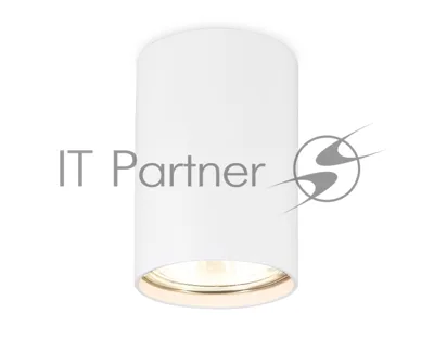 Светильник Ambrella light TN213101 WH белый GU5.3 D55*80