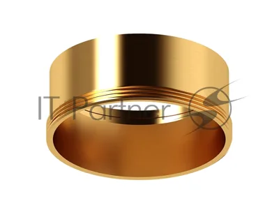 Насадка для корпуса светильника N6113 PYG золото желтое полированное D60*H30mm Out0mm MR16