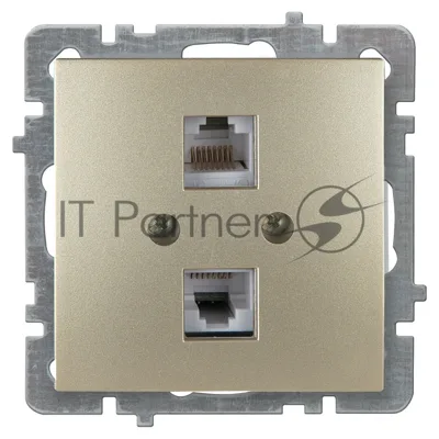 Nilson Механизм роз. 2-местн. компьютерная СУ, (RJ45 САТ5), ТУРАН-АЛЕГРА-ТОР, metallic, золото (24150446)