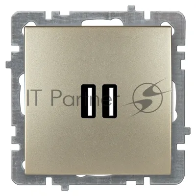 Nilson Механизм розетки USB (зарядка 2,1А, 2 порта), ТУРАН-АЛЕГРА-ТОР, metallic, золото (24150481)