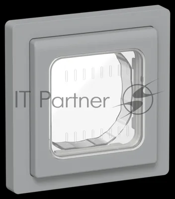 Рамка 1-местная IP55 Рпро-1-55-ФлС серый FLITE