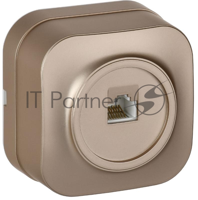 Розетка для открытой установки компьютерная RJ45 кат.5E РК10-ХШм шампань матовый GLORY