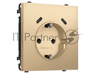 Комплект механизма электрической розетки SIGMA Золото Мягкое касание 2USB С+C 20W (быст. зар.) с/з с/ш 16A-250V QUANT PRO (SP8905, PR165)