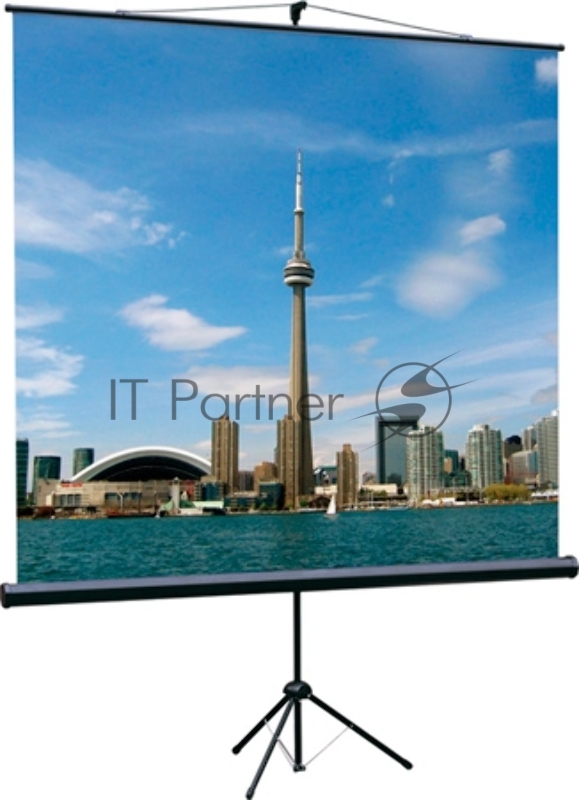 Экраны LUMIEN Lumien Экран на треноге 180x180 см Eco View LEV-100102 1:1 с возможностью настенного крепления