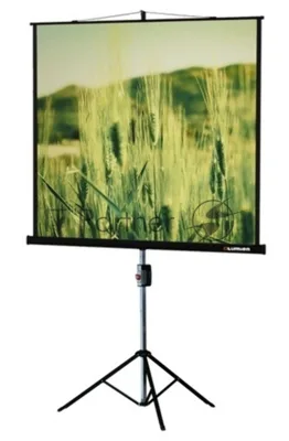 Экран на треноге Lumien 153x153см Master View LMV-100102 1:1 напольный рулонный