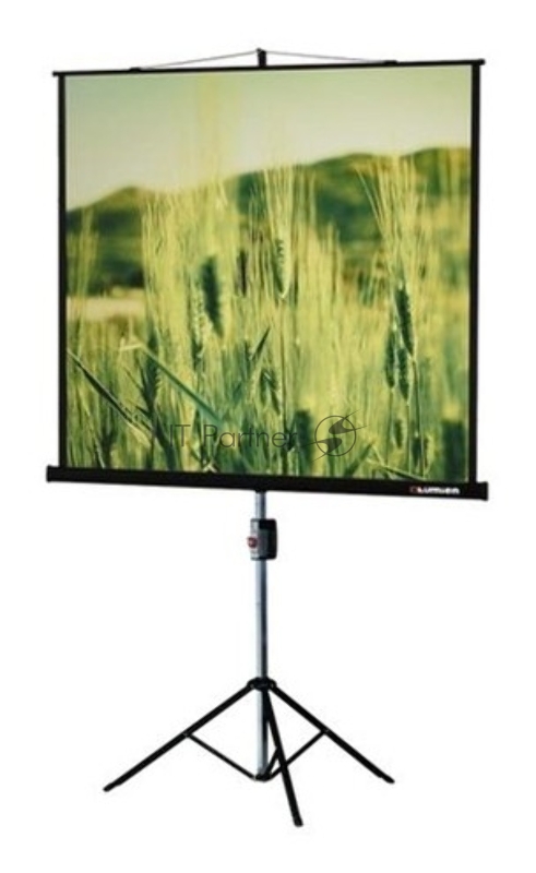 Экран на треноге Lumien 220x165 см Master View LMV-100113 4:3 напольный рулонный