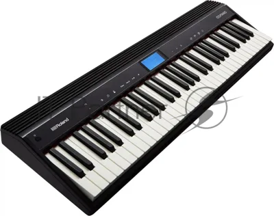 Портативное цифровое пианино ROLAND [GO:PIANO (GO-61P)] 61 клавиша, чувствительность к скорости касания, 40 тембров, Bluetooth, метроном, рекордер, эффекты (хорус, реверберация), работа от батареек, вес 3,9 кг.