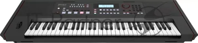 Синтезатор ROLAND [E-X50] с автоаккомпанементом, 61 клавишей (чувствительной к нажатию), 256-голосной полифонией. 689 тембров, 300 стилей аранжировки, Bluetooth 5.0, микрофонный вход, USB. Вес: 9,6 кг.