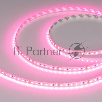 Светодиодная лента RT-A120-8mm 24V Pink (9.6 W/m, IP20, 2835, 5m) (Arlight, -) | 043380 | Arlight