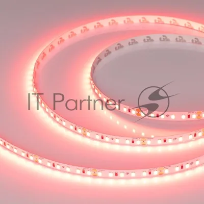 Светодиодная лента RT-A120-8mm 24V Scarlet (9.6 W/m, IP20, 2835, 5m) (Arlight, -) | 043383 | Arlight
