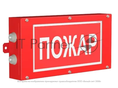 Световой указатель аварийного освещения BS-CANRON-10-S1-24 | a15578 | Белый свет