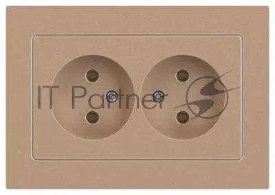 Розетка Intro Accent 6-204-04 2х2P, 16А-250В, IP20, СУ, AL/CU, шампань | Б0063462 | Intro