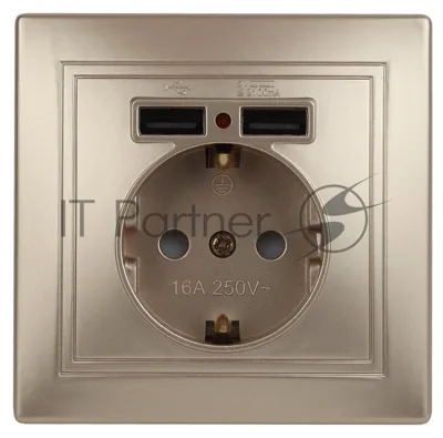 Розетка Intro Plano 1-410-04 с заземлением 2P+E Schuko со шторками, 16А-250В + 2хUSB 5В-2,1А, IP20, СУ, шампань | Б0053945 | Intro
