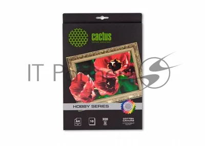 Холст Cactus CS-CA426010 A4/260г/м2/10л. для струйной печати