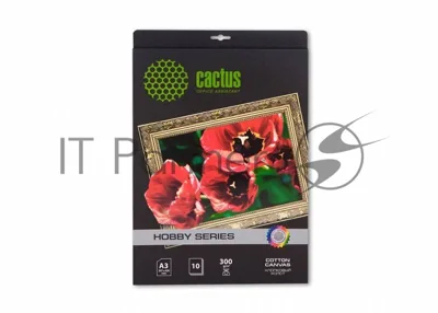 Холст Cactus CS-СA326010 A3/10л. для струйной печати