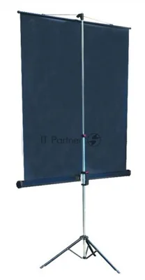 Экран на штативе Lumien Master View 244x244 см Matte White FiberGlass (LMV-100105)