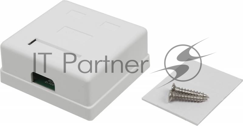 Розетка TWT (TWT-SM2-4545-WH) настенная 2 порта RJ-45 категории 5е. UTP. белая