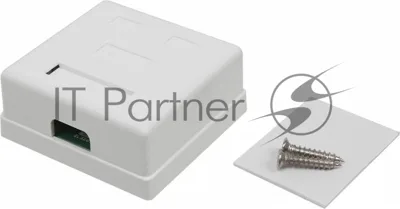 Розетка TWT (TWT-SM2-4545-WH) настенная 2 порта RJ-45 категории 5е. UTP. белая