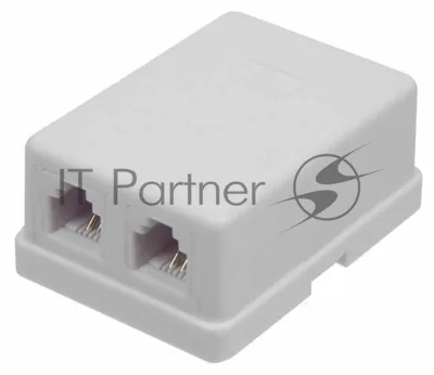 Модуль TWT (TWT-SA2-WH) Настенная коробка 2 порт. для Keystone